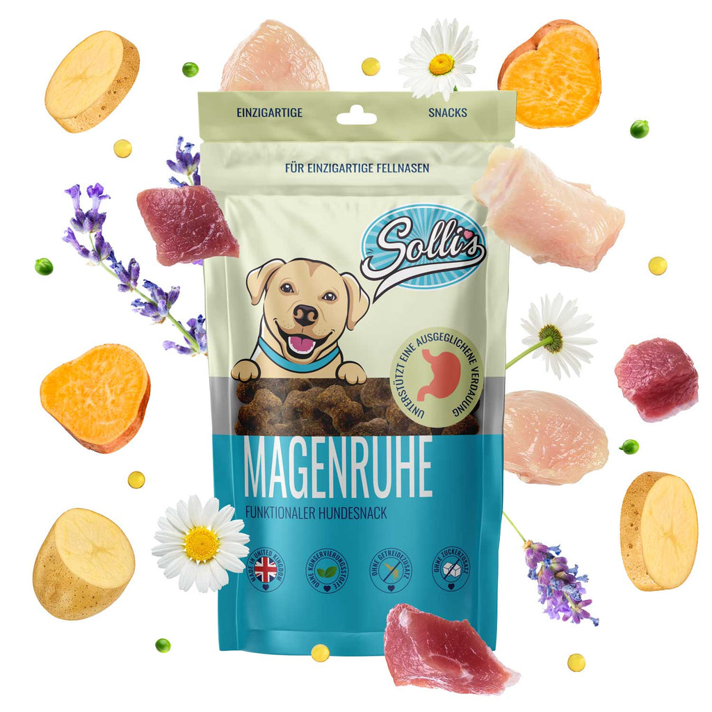 Snack funcional para la digestión - favorece una flora intestinal saludable