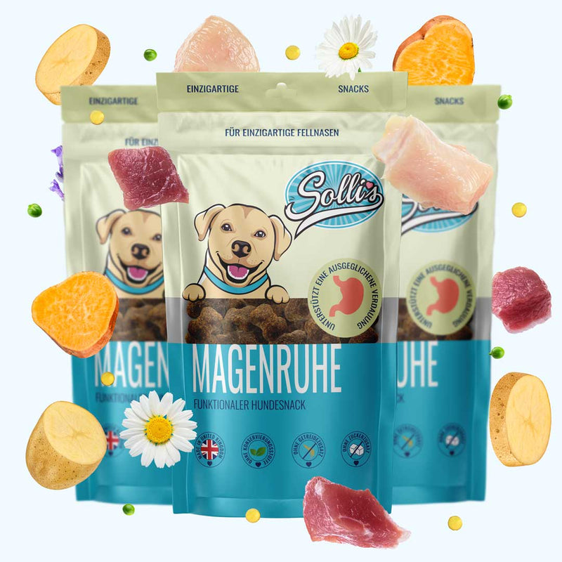 Funktionaler Snack Verdauung - Fördert eine gesunde Darmflora