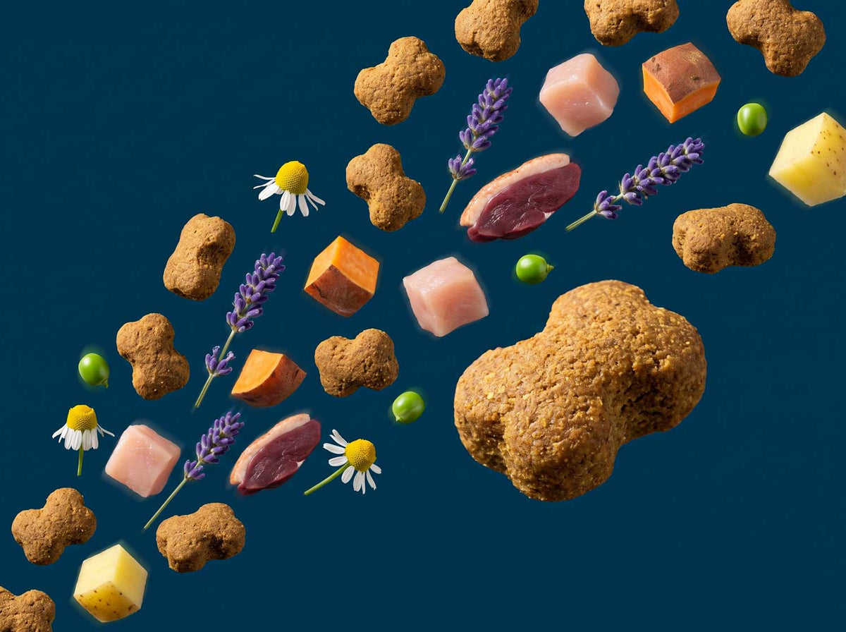 Immunkraft Snack