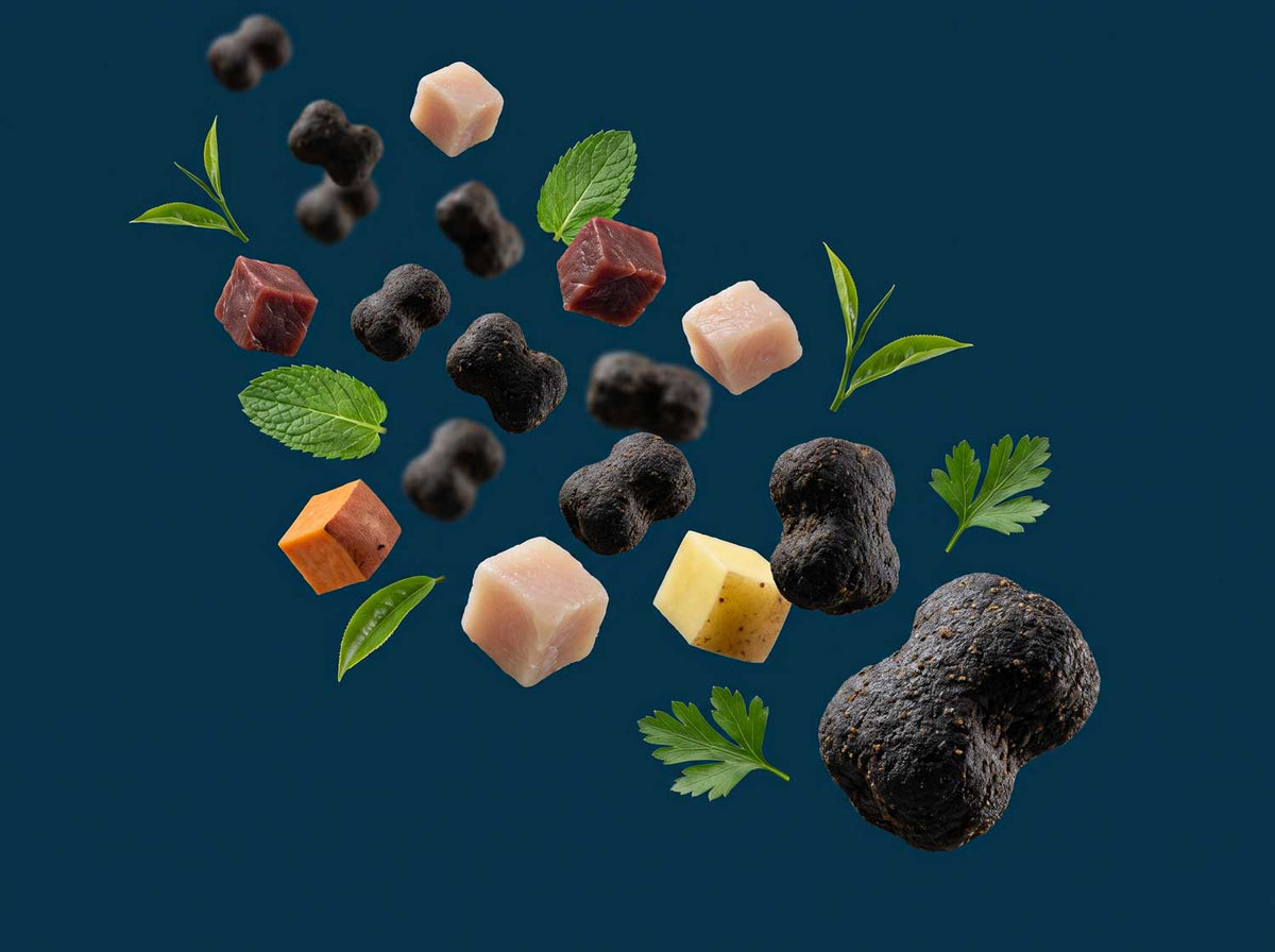 Gebissglanz Snack