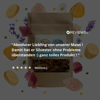 Funkční snack pro imunitní systém – podporuje imunitní obranu