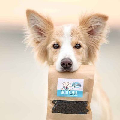 Funkční snack pro srst a kůži – pečuje o srst a redukuje lupy