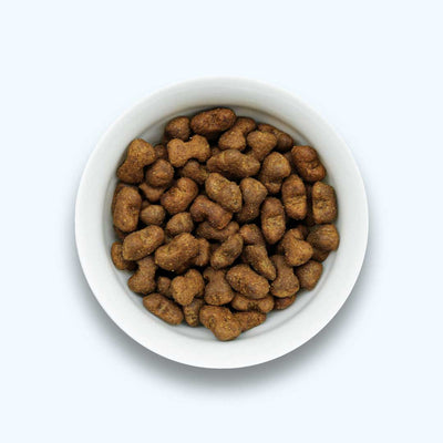 Funkční snack pro imunitní systém – podporuje imunitní obranu