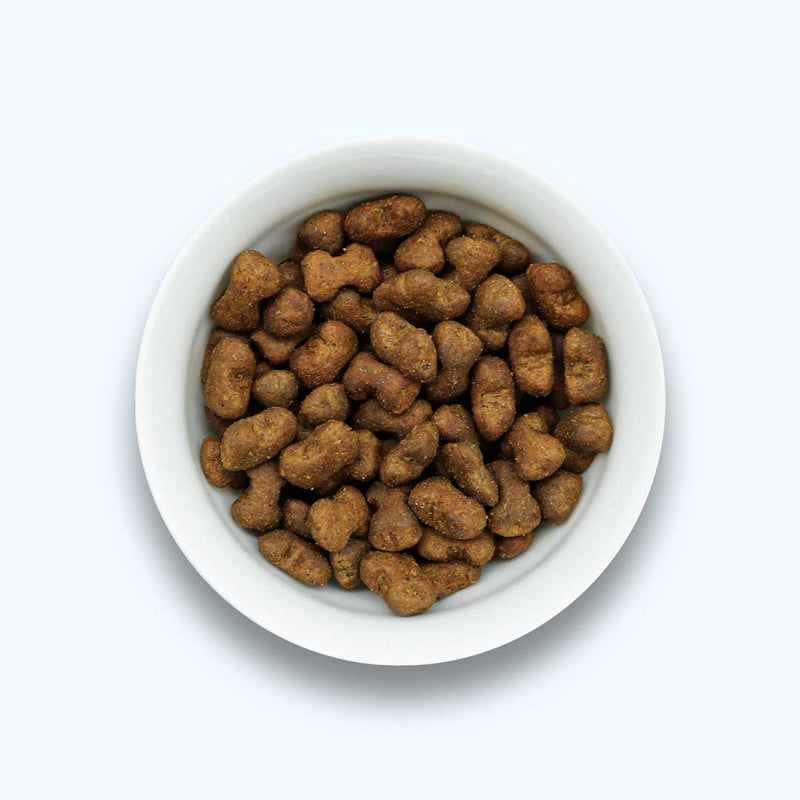 Funkční snack pro imunitní systém – podporuje imunitní obranu