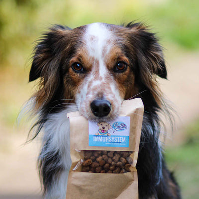 Funkční snack pro imunitní systém – podporuje imunitní obranu