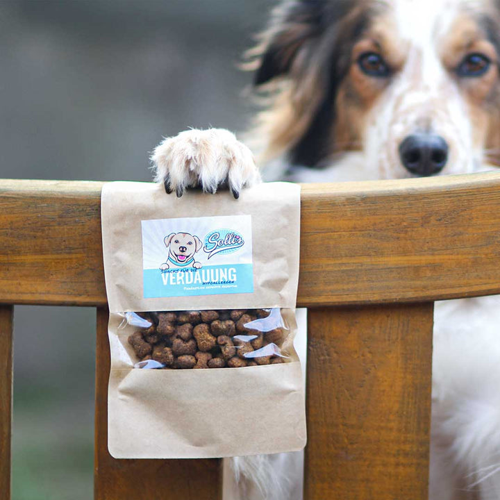 Snacks für Hunde ohne Getreide