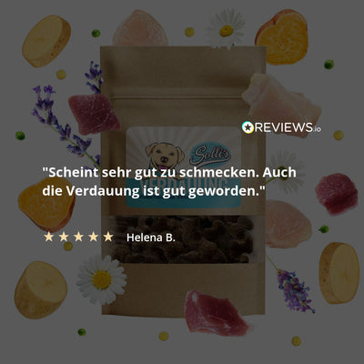 Functionele hondensnack voor een goede spijsvertering - Bevordert een gezonde darmflora