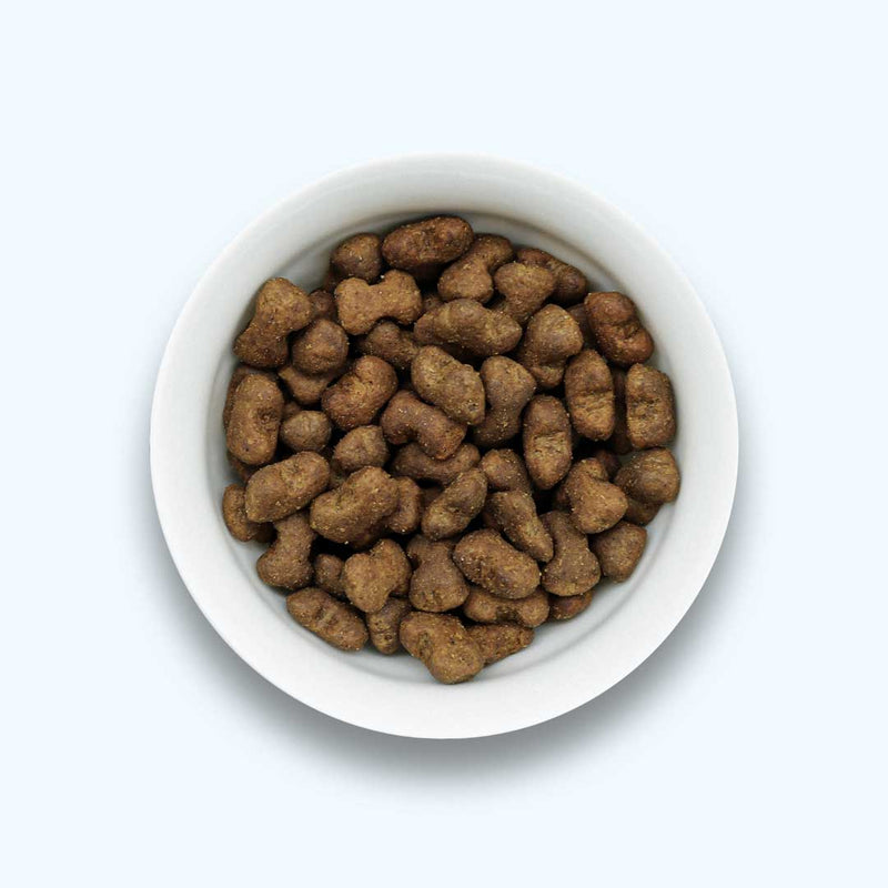 Functionele hondensnack voor een goede spijsvertering - Bevordert een gezonde darmflora