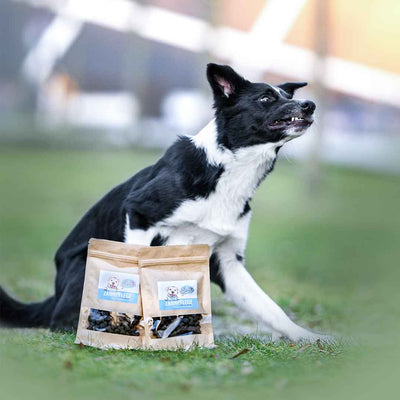 Functionele hondensnack voor tandverzorging - Ondersteunt de tandverzorging