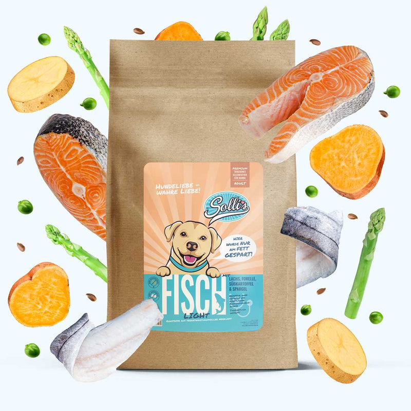 Trockenfutter Fisch | Adult-Regular