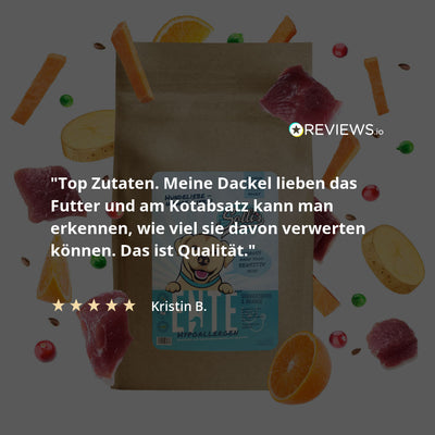 Pienso seco para perros Pato | Adultos - Regular