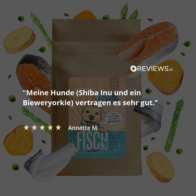 Trockenfutter Fisch | Adult-Regular