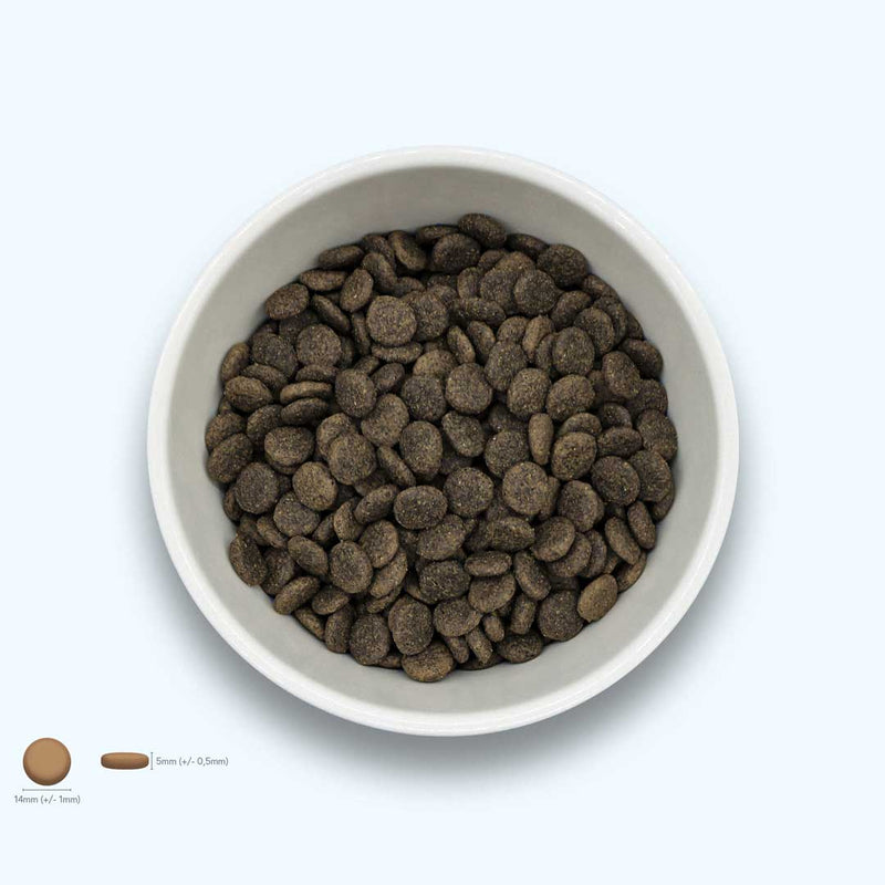 Trockenfutter Fisch | Adult-Regular