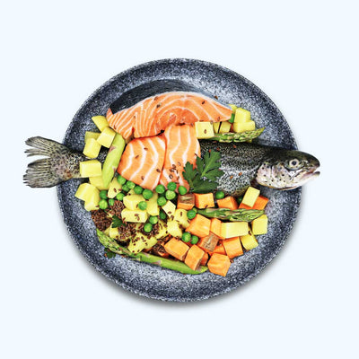 Trockenfutter Fisch | Adult-Regular