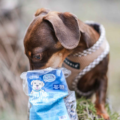 Pienso seco para perros Pavo-Minis | Adultos - Razas pequeñas
