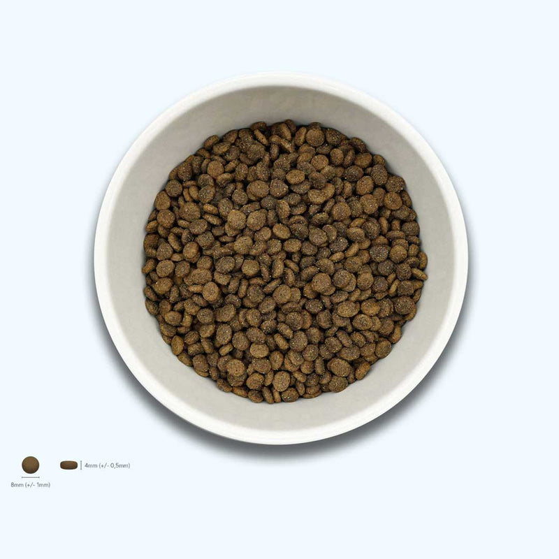 Trockenfutter Lamm-Minis | kleine Rassen