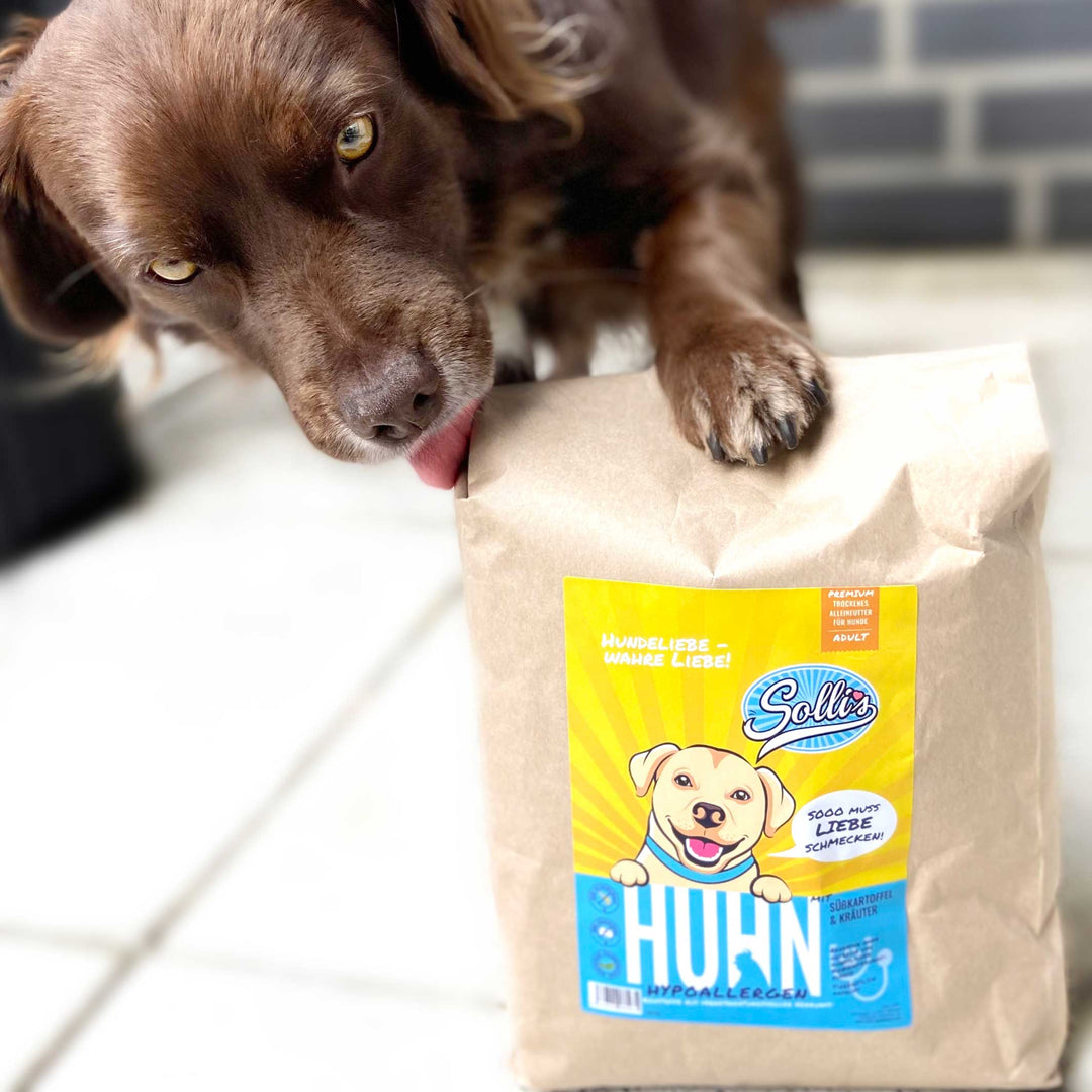Huhn Regular mit Süßkartoffel & Kräutern – Sensitiver Genuss – Solli's  Hundebedarf