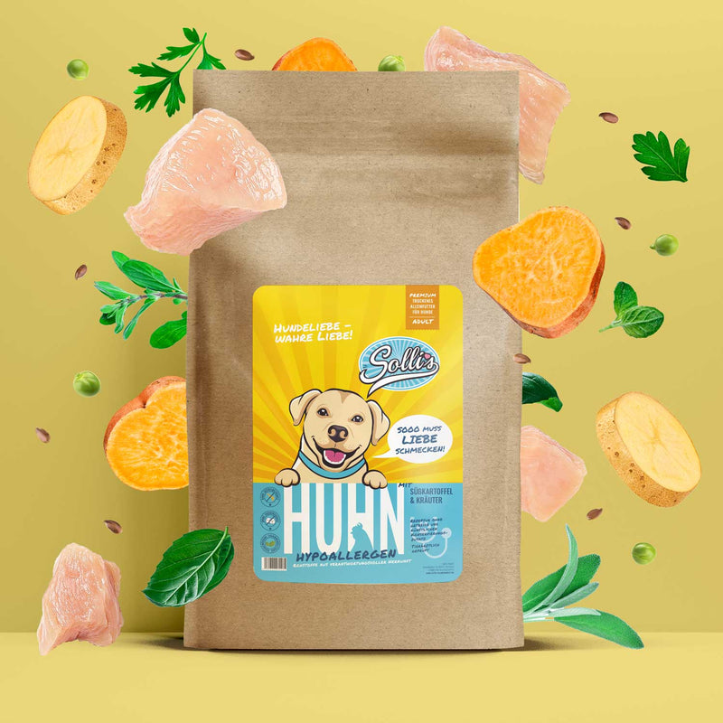Probe Trockenfutter Huhn | Adult-Regular 100g