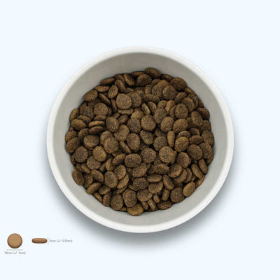 Trockenfutter Huhn | Adult-Regular