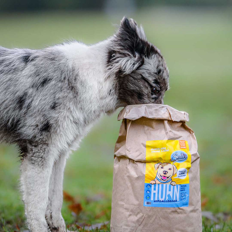 Trockenfutter Huhn | Welpenfutter-Regular