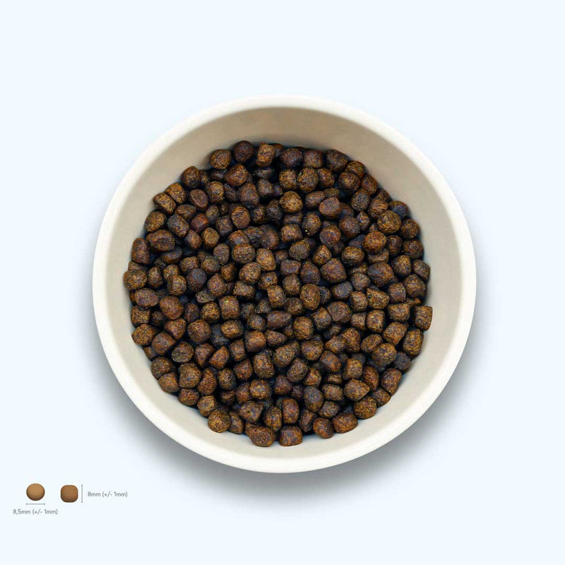 Trockenfutter Huhn | Welpenfutter-Regular