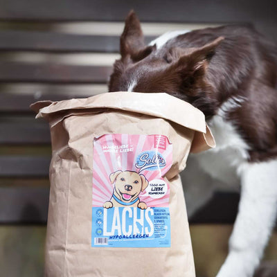 Trockenfutter Lachs | Welpenfutter-Regular