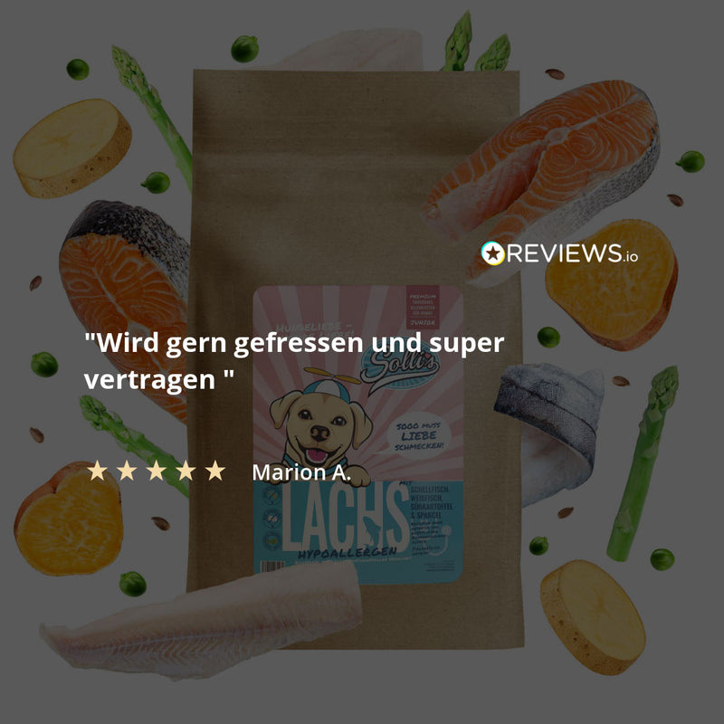 Trockenfutter Lachs | Welpenfutter-Regular