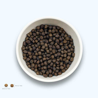 Trockenfutter Lachs | Welpenfutter-Regular