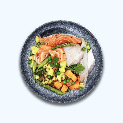 Trockenfutter Lachs | Welpenfutter-Regular