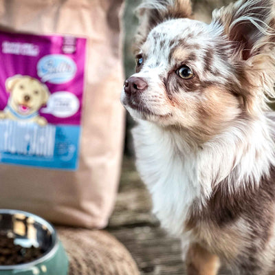 Trockenfutter Truthahn-Minis | Welpenfutter - kleine Rassen