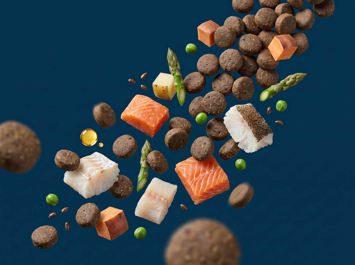 Salmon Regular