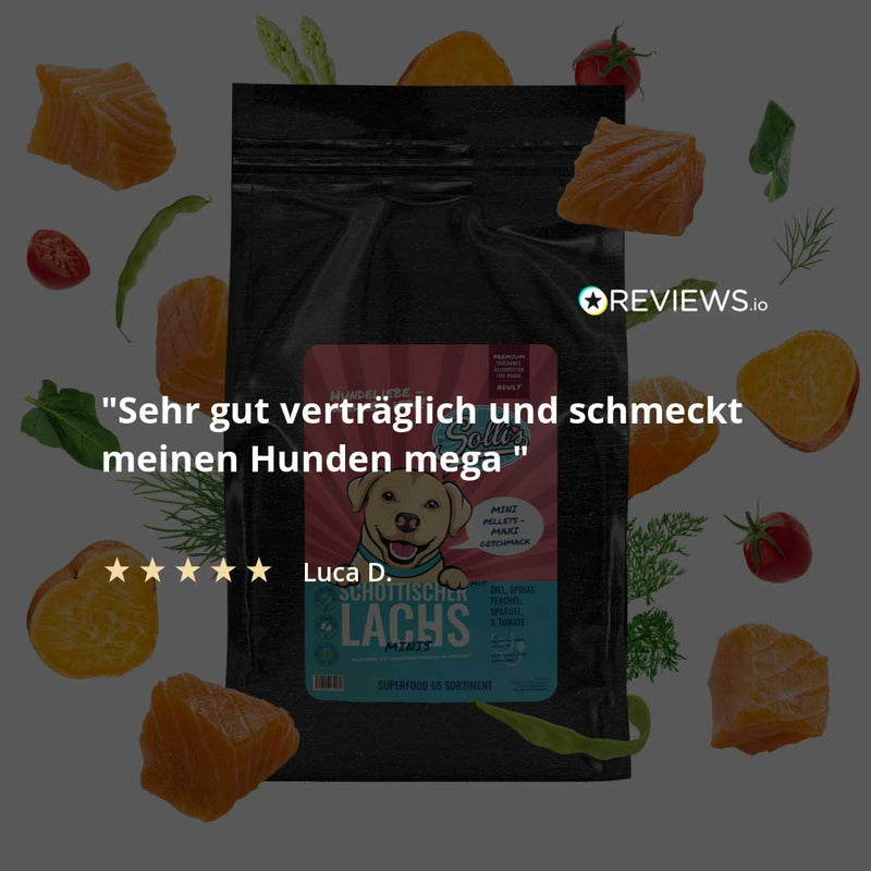 Trockenfutter Schottischer Lachs-Minis | kleine Rassen