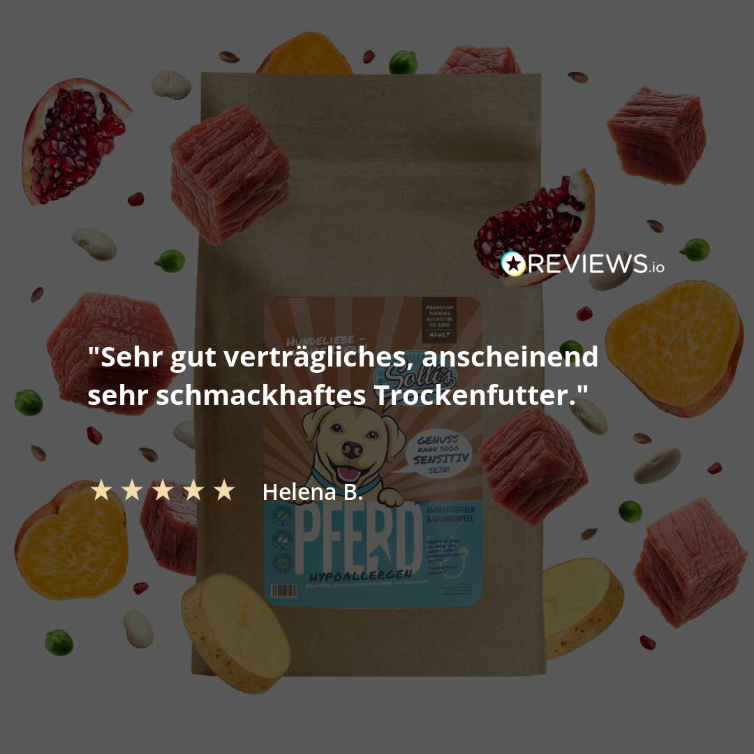 Trockenfutter für Hunde mit Pferd
