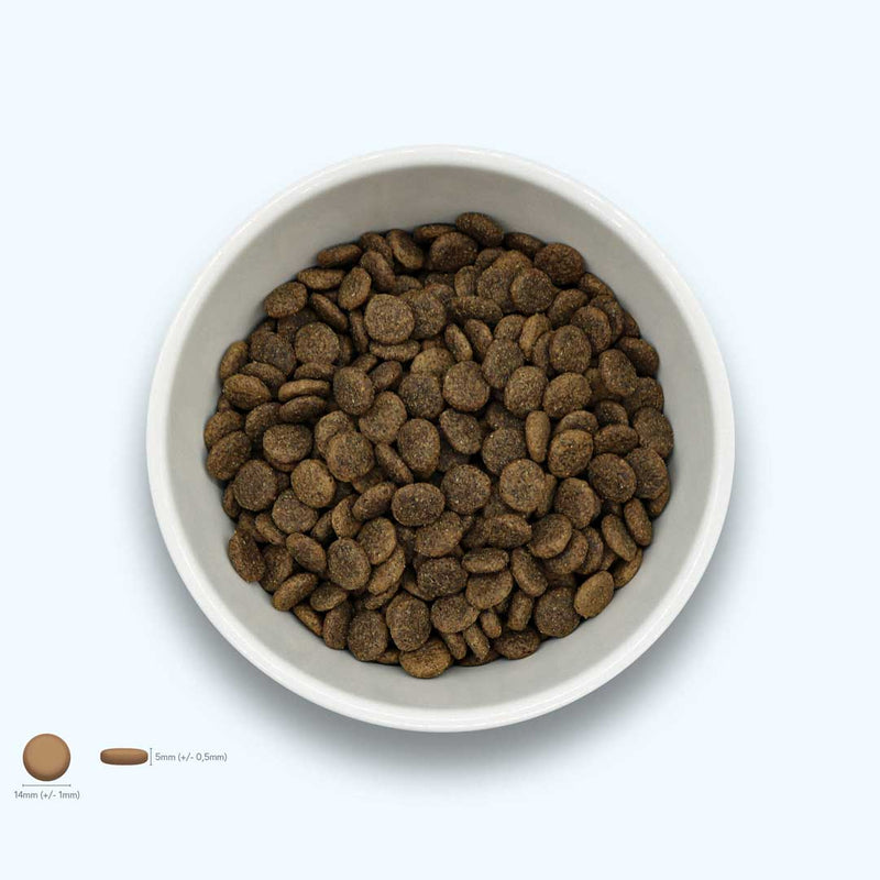 Trockenfutter Pferd | Adult-Regular