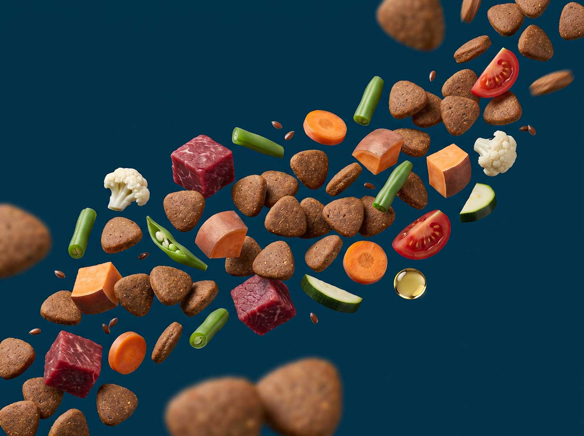 Bœuf Minis
