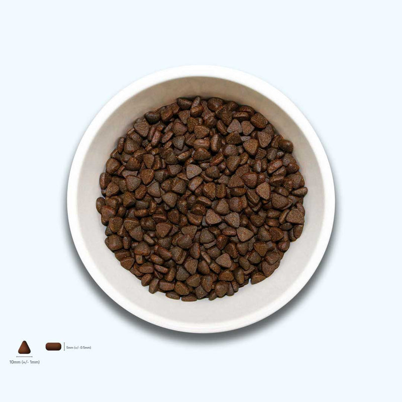 Trockenfutter Angus-Rind-Minis | kleine Rassen