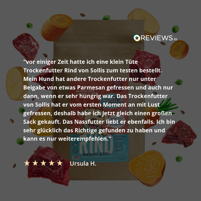 Trockenfutter Angus-Rind | Adult-Regular