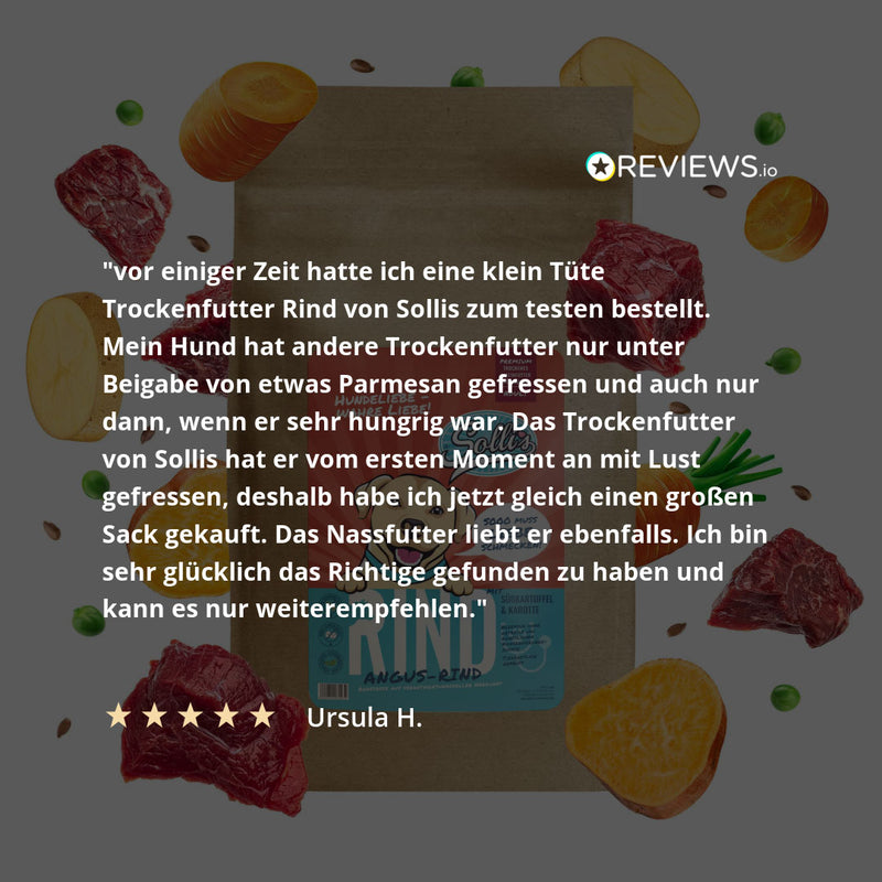 Trockenfutter Angus-Rind | Adult-Regular