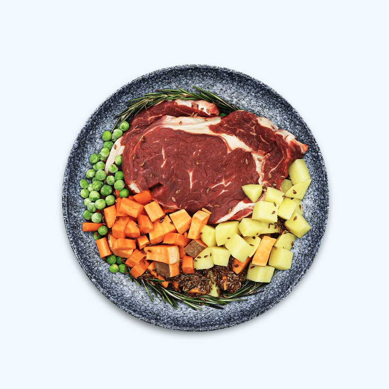 Trockenfutter Angus-Rind | Adult-Regular