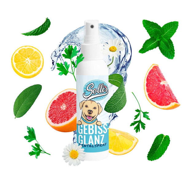 Dentalspray Gebissglanz - Gegen Zahnstein, Plaque & Mundgeruch - Solli's Hundebedarf