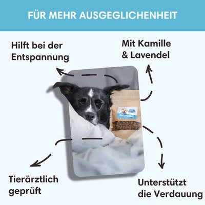 Funktionaler Snack Beruhigung - Fördert Ausgeglichenheit - Solli's Hundebedarf