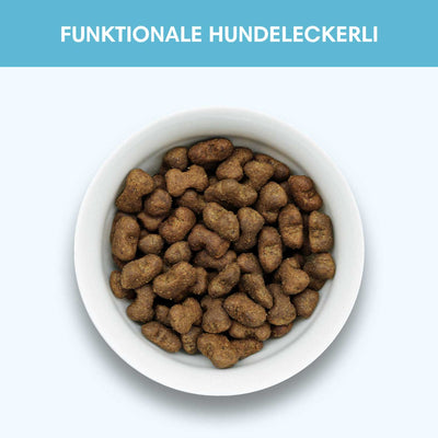 Funktionaler Snack Verdauung - Fördert eine gesunde Darmflora - Solli's Hundebedarf