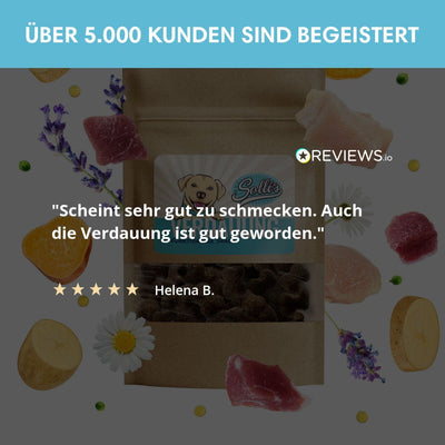 Funktionaler Snack Verdauung - Fördert eine gesunde Darmflora - Solli's Hundebedarf