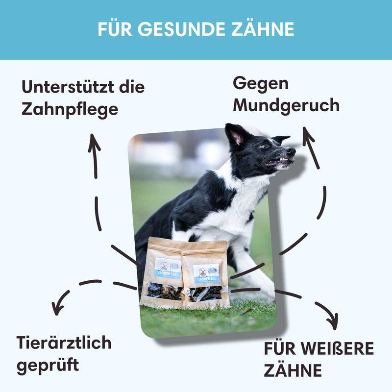 Funktionaler Snack Zahnpflege - Unterstützt die Zahnpflege - Solli&