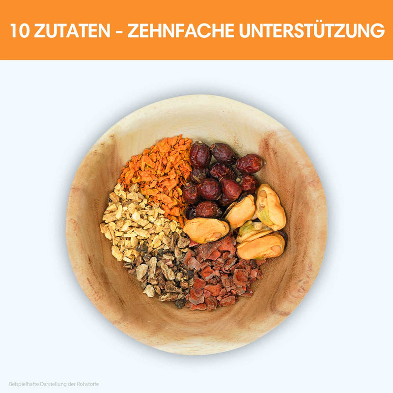 Gelenkpulver Mobilitätsmagie - Gegen Arthrose & Immobilität - Solli&