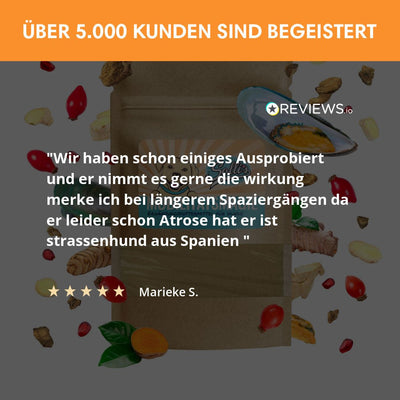 Gelenkpulver Mobilitätsmagie - Gegen Arthrose & Immobilität - Solli's Hundebedarf
