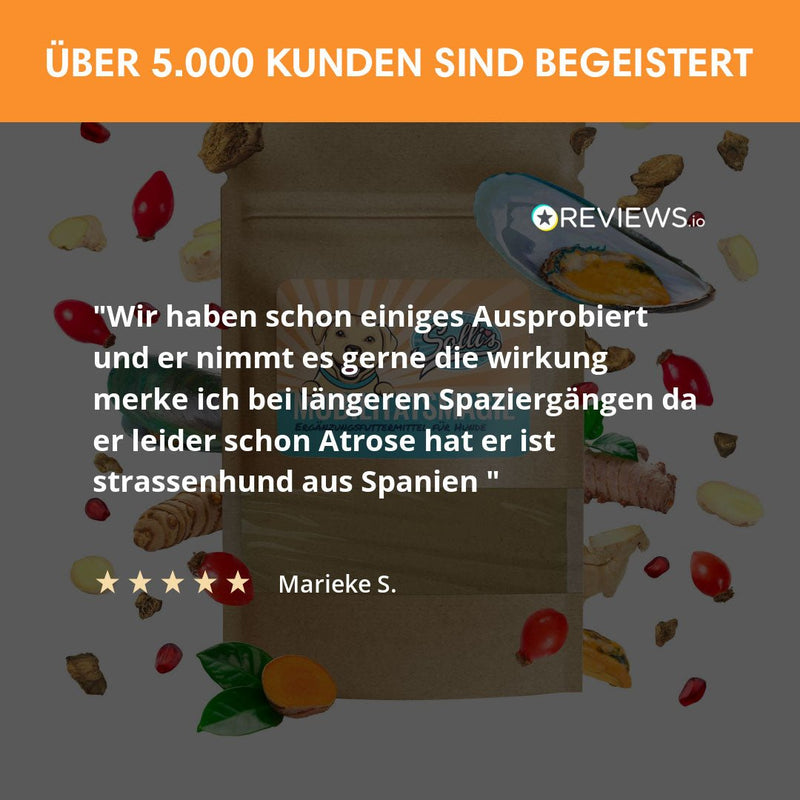 Gelenkpulver Mobilitätsmagie - Gegen Arthrose & Immobilität - Solli&