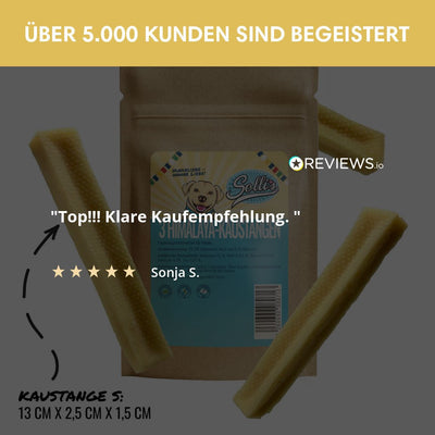 Käse - Kaustangen | Traditionell händisch gefertigt - Solli's Hundebedarf