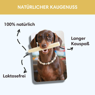 Käse - Kaustangen | Traditionell händisch gefertigt - Solli's Hundebedarf