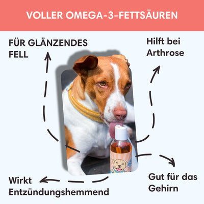 Lachsöl - Für gesunde Haut, Fell & Gelenke - Solli's Hundebedarf